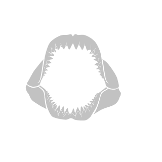 Shurichansky's emblem