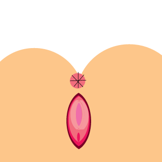 ninjaniks's emblem
