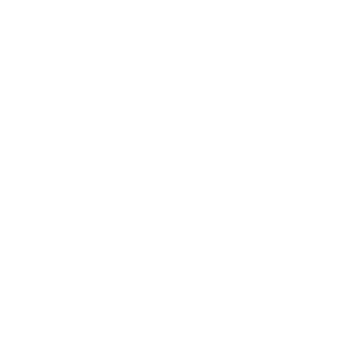 PinCruZer's emblem