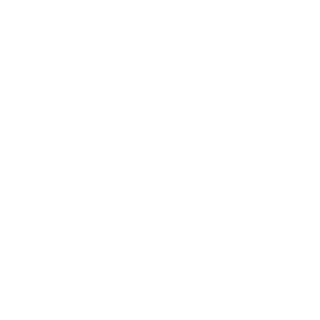 81Janissary's emblem