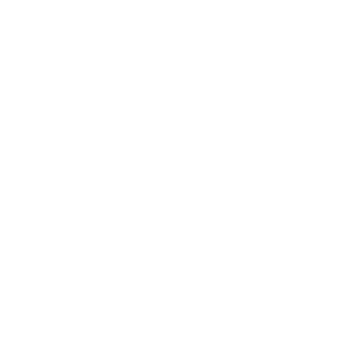 a freaking jew2's emblem