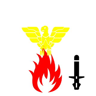 Tomzs123's emblem