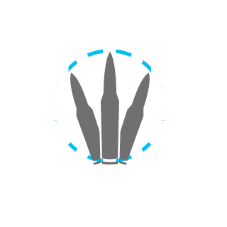 WISEWISETURTLE's emblem