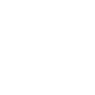 bull1984's emblem