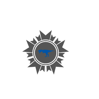 thepatriot81's emblem