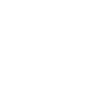 1B00's emblem