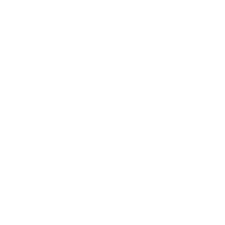 12synergy's emblem