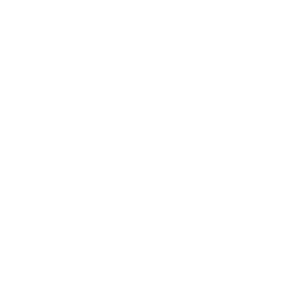 AIK-VeN's emblem