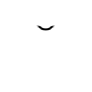 VANINBR123's emblem