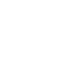 bro400000's emblem