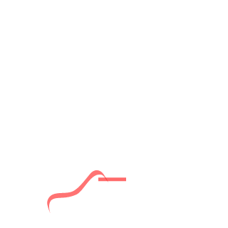 n00ziK's emblem