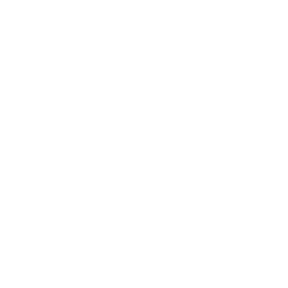 Hunter-Br2018's emblem