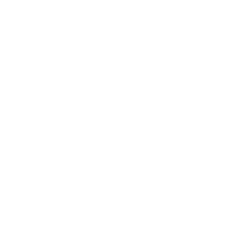 RNM63335088's emblem