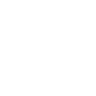 TimurRassadin's emblem