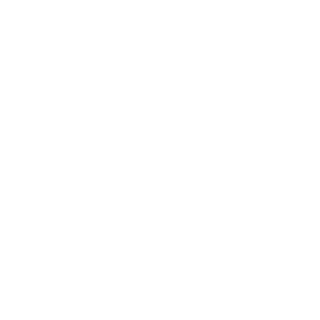 BoomHound101's emblem