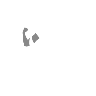 Dr John Halo's emblem