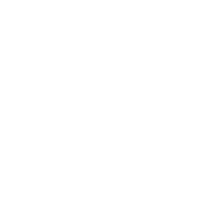 NAIR FOR BARE's emblem