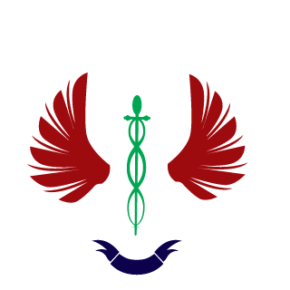 SfkErtas1's emblem