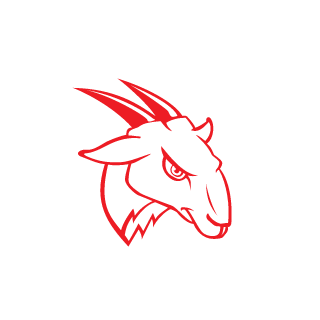 Vlitzz's emblem