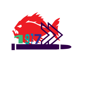 doctormaboul9's emblem
