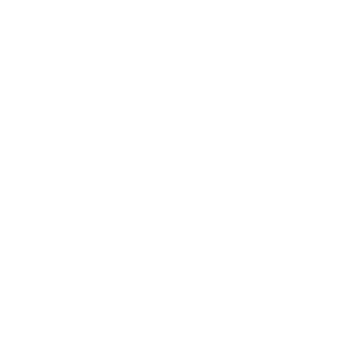palasha347's emblem