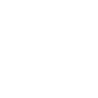 P9L4W's emblem