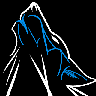 paskautov's emblem