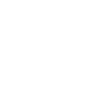 Parfen_581's emblem