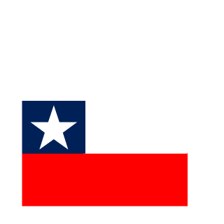 PiwonkaxX's emblem