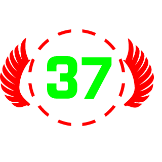 X_TheFaster37_X's emblem
