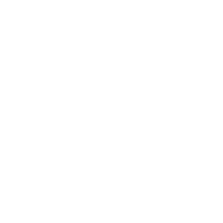 21054836's emblem