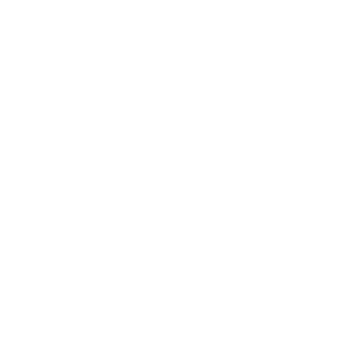 EuroDong's emblem