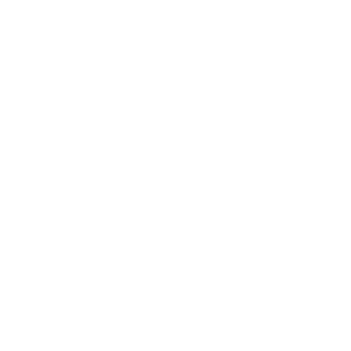 8string's emblem