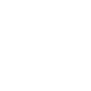 nx22's emblem