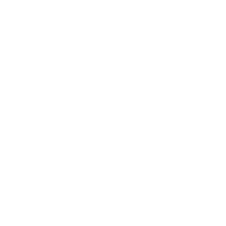 H77X's emblem