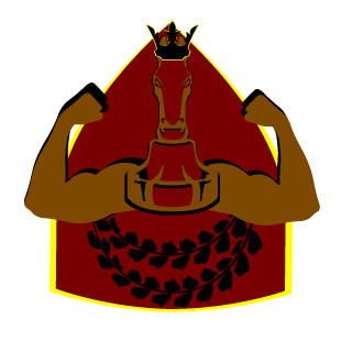 D3NAbr's emblem