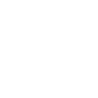johnny-electron's emblem