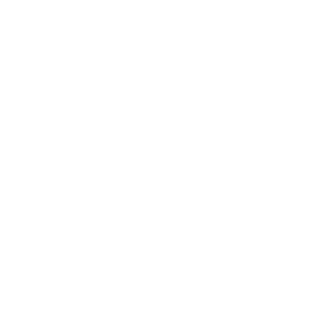 Nobbel62's emblem