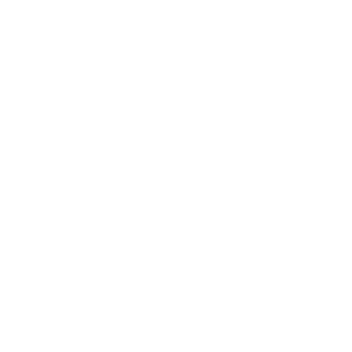 REESAN_iq's emblem