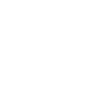 offlinelion's emblem