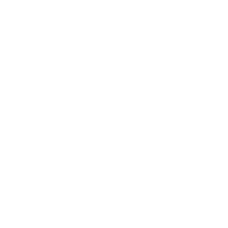 Formative-Sum41's emblem