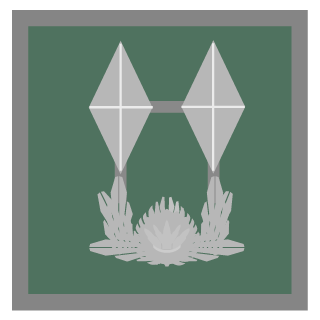ddy0319's emblem
