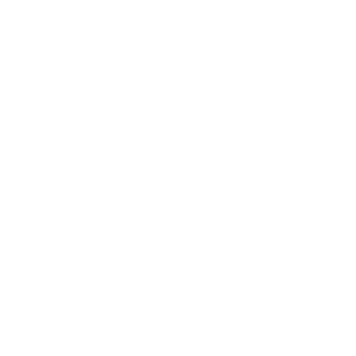 goxy_the_SRB's emblem