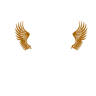 CviruZ's emblem