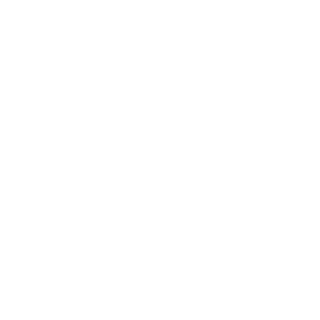 rebelblacksmith's emblem