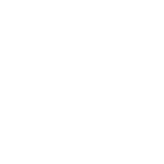 VERSUS-ID's emblem