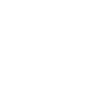 lm Joshua's emblem