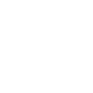 Lykra17's emblem
