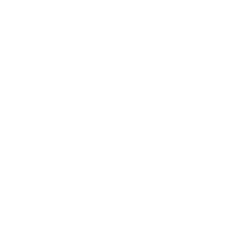 BendixenN0R's emblem