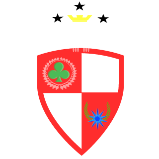 ViniciusGuedesS's emblem